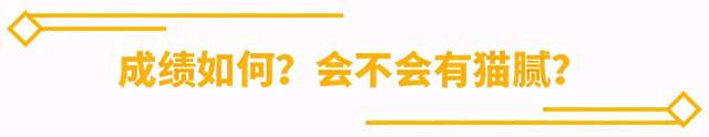 帕萨特再撞中保研！这样的成绩大家怎么看？