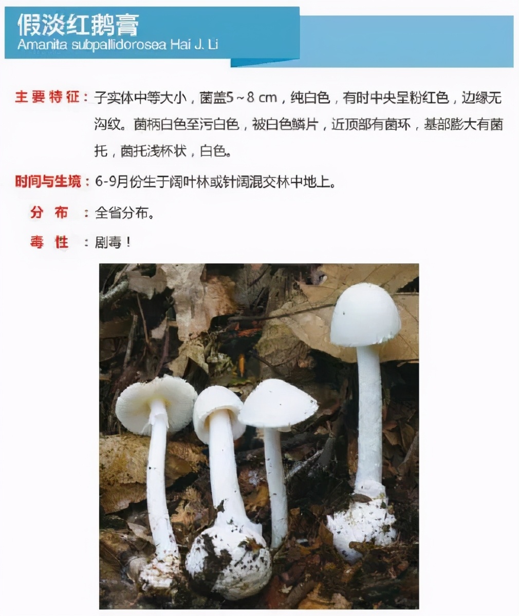 又到暴发季！湘潭人警惕，这东西碰不得（附有奖答题）