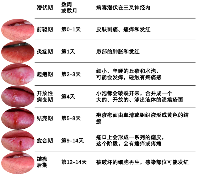 首页 科创中国