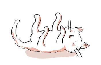 血管健康看小腿:"腿抽筋"竟然预兆心脏病!_健康症状网