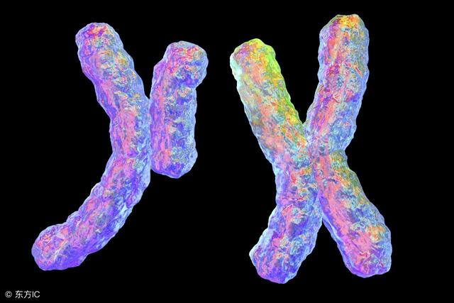 染色体异常是怎么回事?与5个因素有关,易使胎儿致畸