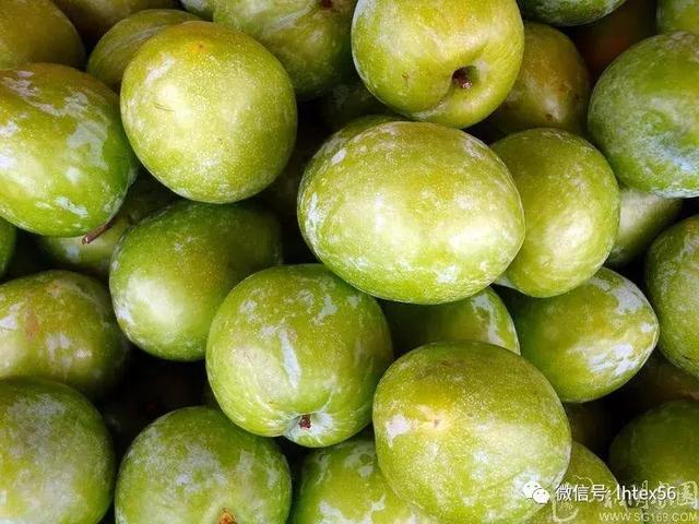 海麻深虾?印象就是 吃大伙的第一! 吃!吃!