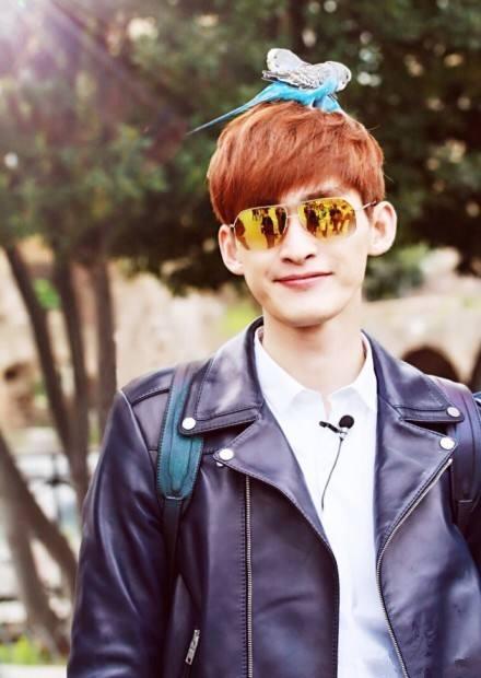 娱乐圈22位招风耳明星网友调侃听力会不会很好