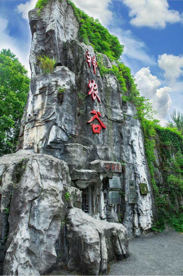 神农谷景区8月1日,炎陵县神农谷景区,当年朱毛红军挑过粮的山道上