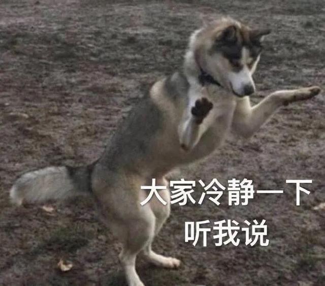 没有哪个团体的后台能比他们强吧！