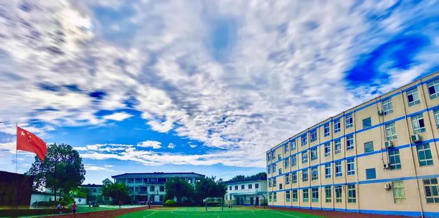 成都天府新区大林小学：阅读相伴 书里寻芳