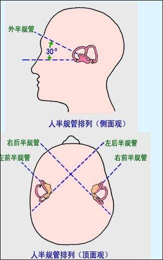 眼震是如何产生的耳石症之耳朵和眼睛之间的秘密一