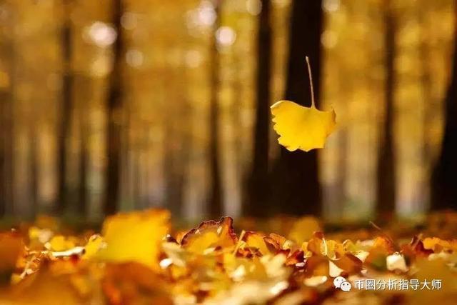 凤雏悟币：数字货币一篇市场交易心理学箴言