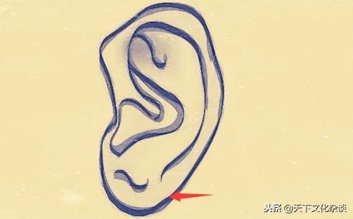 发布于:2020年09月19日浏览量:345所属栏目:耳朵耳垂圆厚耳朵在面相中