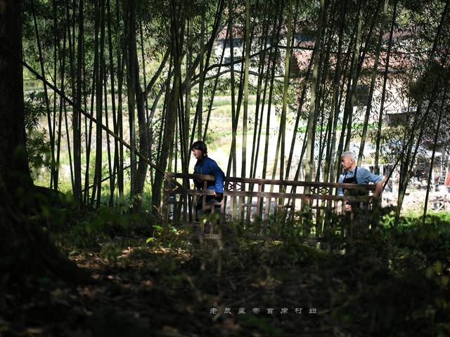 空心村变香饽饽！废瓦野草牛成野宴主角，定制餐千元一位却难求