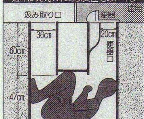 61b823809b314e42a1fecbb324328331?from=detail&index=3