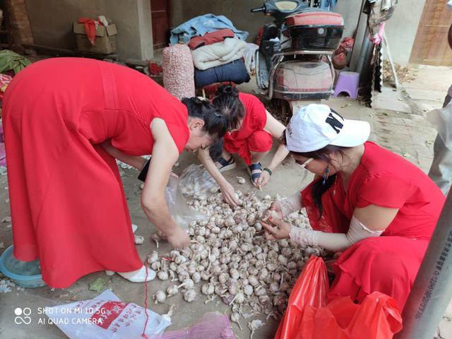 孝心|西姜寨乡（让孝心回家）电影拍摄基地南桃园迎来了首批游客