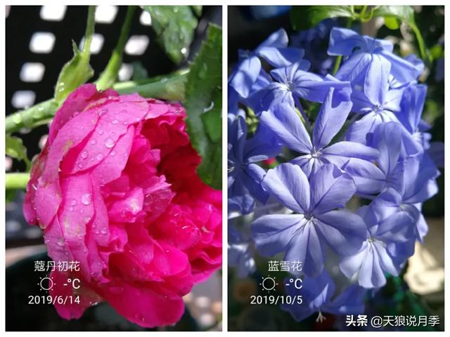 影片剧照