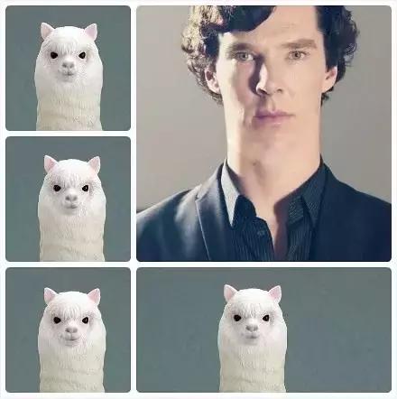 本尼迪克特康伯巴奇(卷福,曼彻斯特大学戏剧学学士)