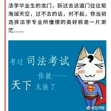 白火杂七杂八