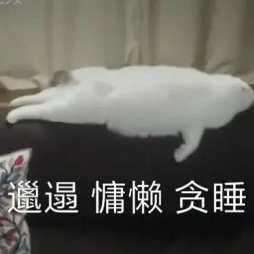 结局未定，相信他们的未来依旧blingbling