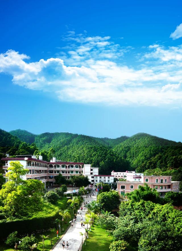 21载风雨兼程，涉外集团谋划“大教育+大健康”谱新篇