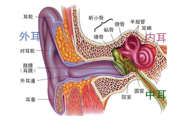 声导抗A图片