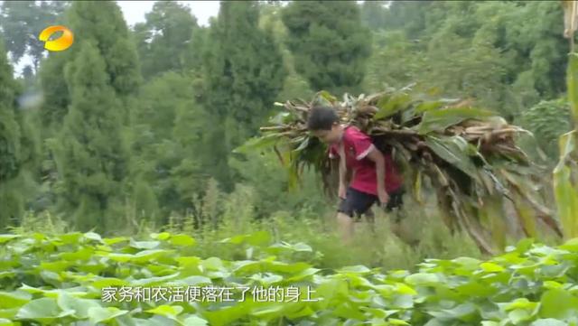 影片剧照