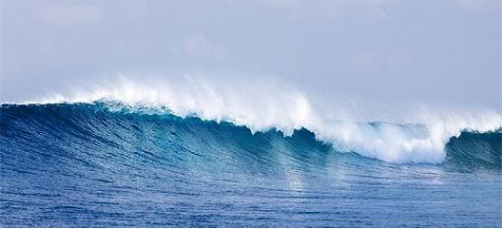 逢时科技携手青岛海洋生物医药研究院，主攻“海洋科技 药食同源”