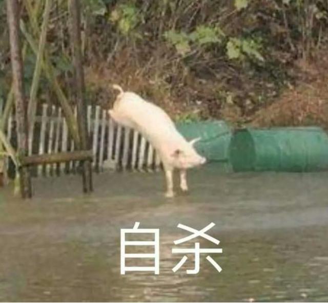 75岁网红大爷花式作死，宁愿坐牢也坚持拿蕾丝内裤当口罩…