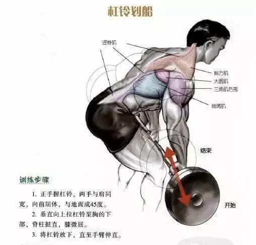 背部训练6个动作足够全面刺激你的背肌