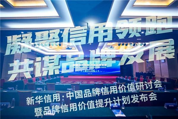 Slaite新西特入驻新华信用平台，获评“品牌信用示范创建企业”