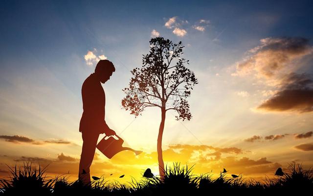 「易天说」（11-15）半月已过 比特币先跌后涨 跨越千点6