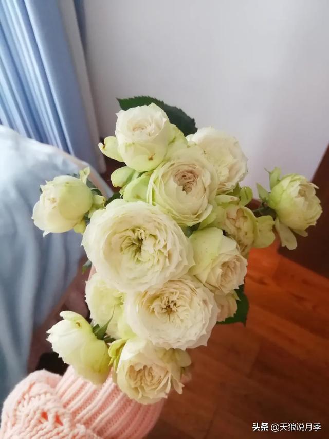 影片剧照