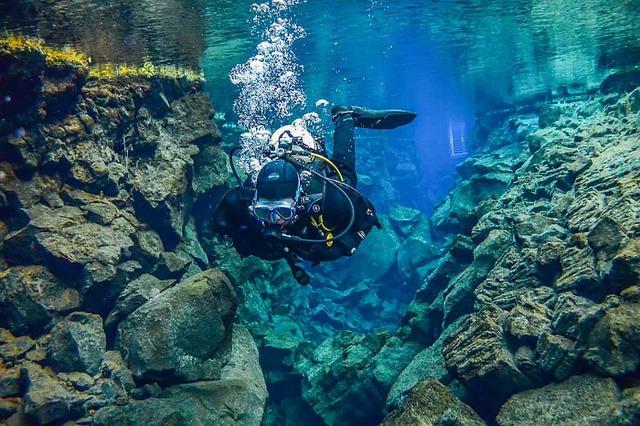 解锁DeFi的另一面：“数据”乐高的万亿级市场 I Damo 项目2