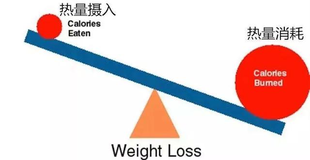 减肥|吃的越来越少，身材却持续变胖，究竟哪里出了问题？