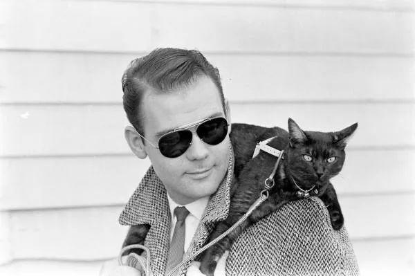 从艾伦坡到好莱坞黑猫试镜会