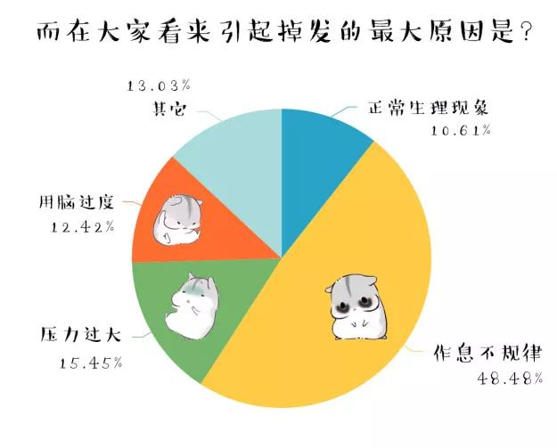 成都电视台《生活大搜索》︱ 走进恒美，探寻植发的奥秘