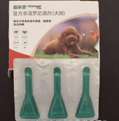 广告|狗狗身上一直有蜱虫，用福来恩驱虫药帮你快速解决