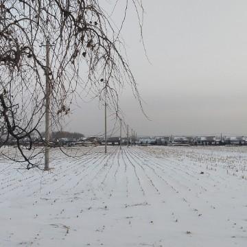 篮筐