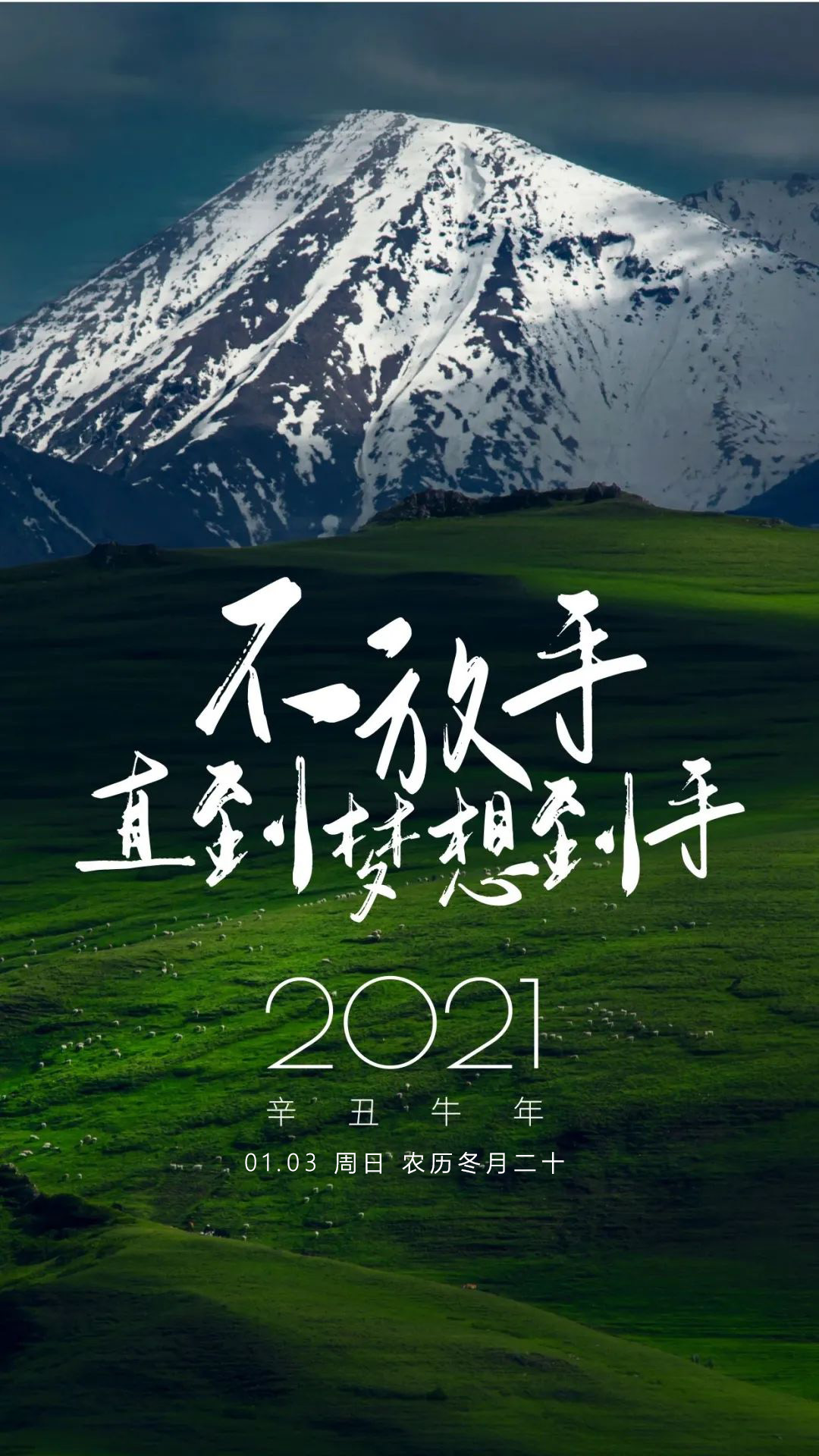 2021正能量早安心灵鸡汤：不放手，直到梦想到手！