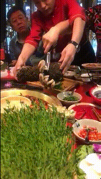 搞笑动态图片：小情人跟媳妇打起来了，该怎么办