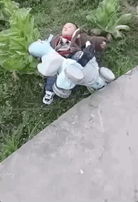 笑死人的动态图片：年纪轻轻就想玩死自己，佩服