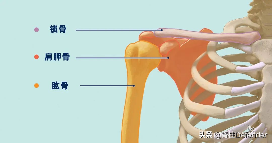Why do our collarbones look different?Is it risky to deliberately