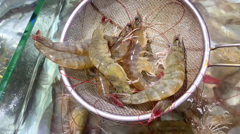 There is a big difference between "frozen shrimp" and "fresh shrimp