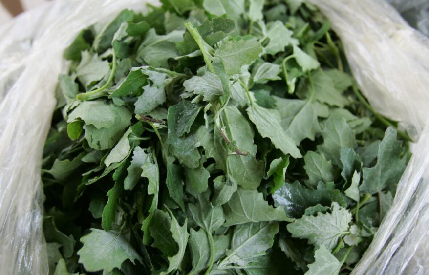 "Kexin" in high uric acid is announced, and the winter melon is only