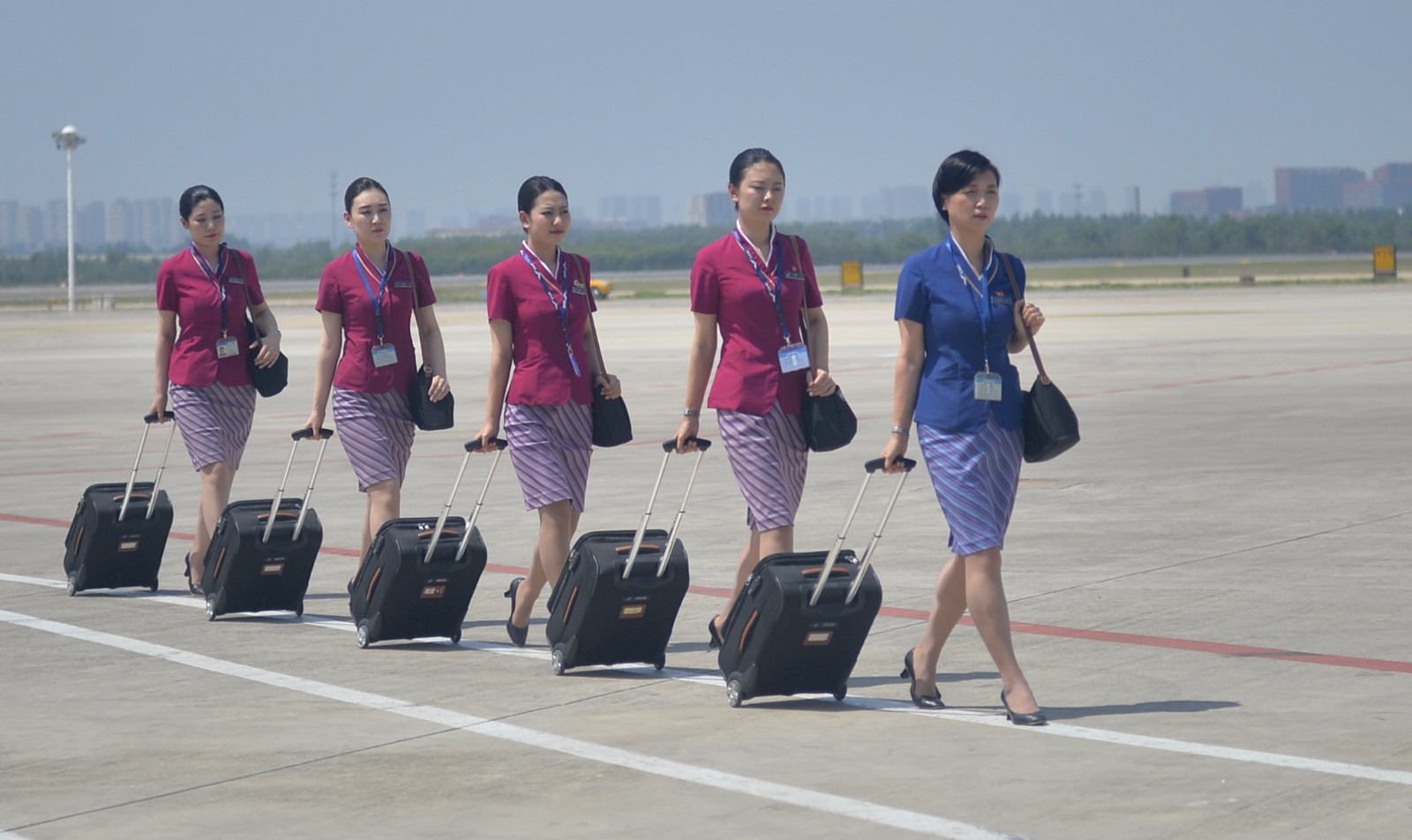 The Stewardess Still Needs A High Degree?zhejiang University Professor 