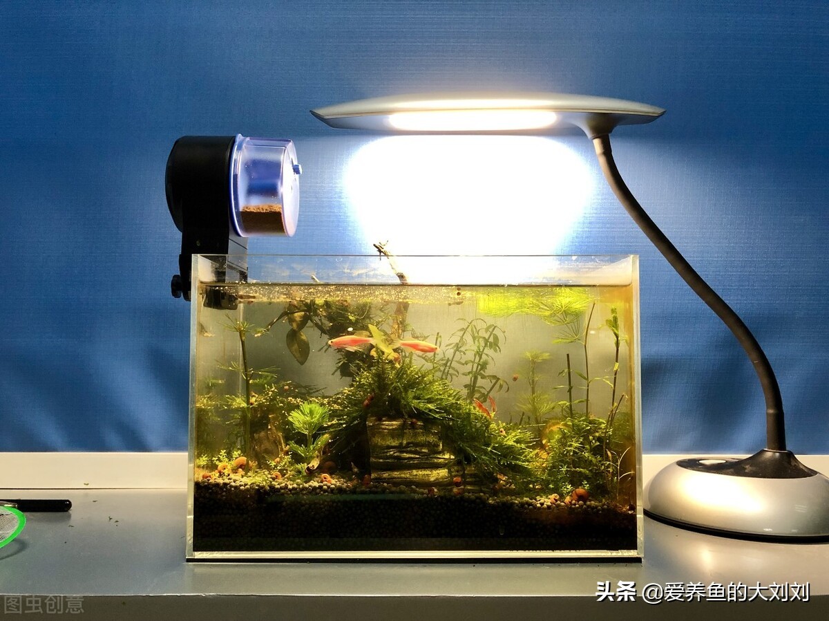 What are the advantages and disadvantages of the three types of metal