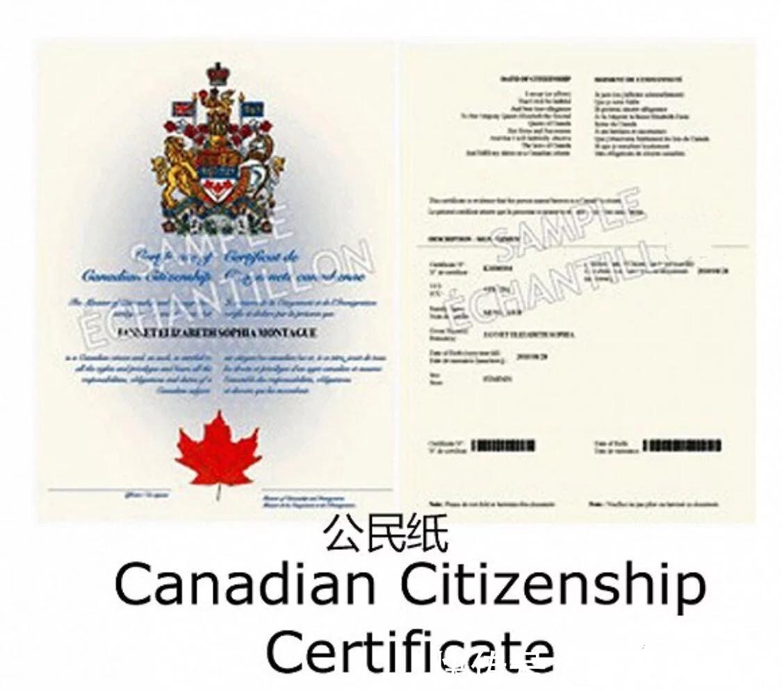 How to apply for a Canadian passport and travel permit for a baby born