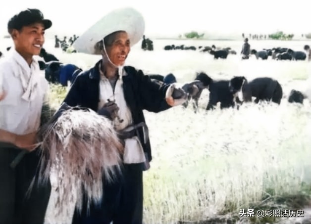 Commune Members Old photo: An energetic commune member, an unforgettable period - iNEWS