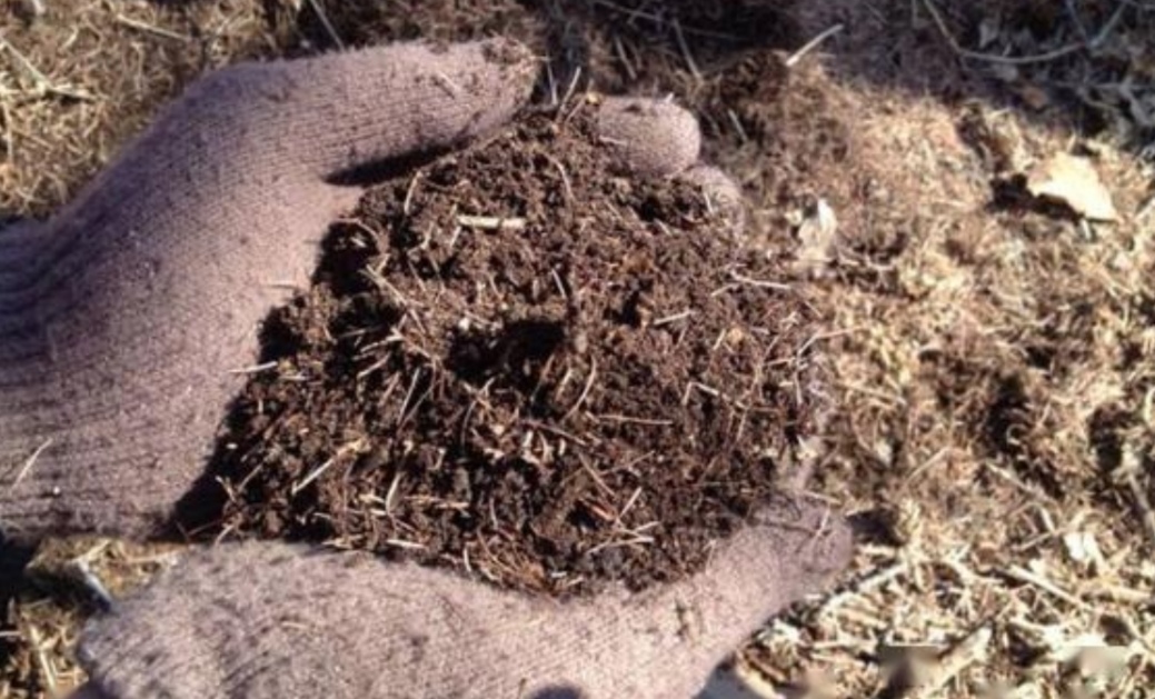 The pine needle soil is collected, how to deal with it to grow flowers ...