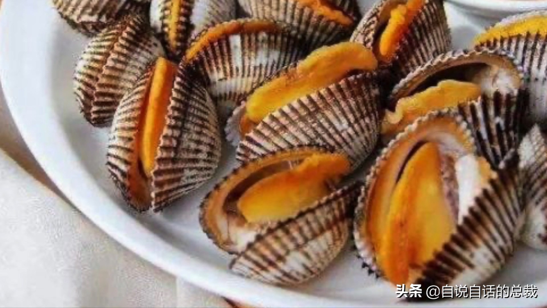 What is the difference between clams, cockles, clams, oysters, and