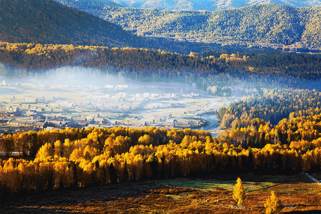 Come to Xinjiang Art Museum on October 14 to experience the unusual