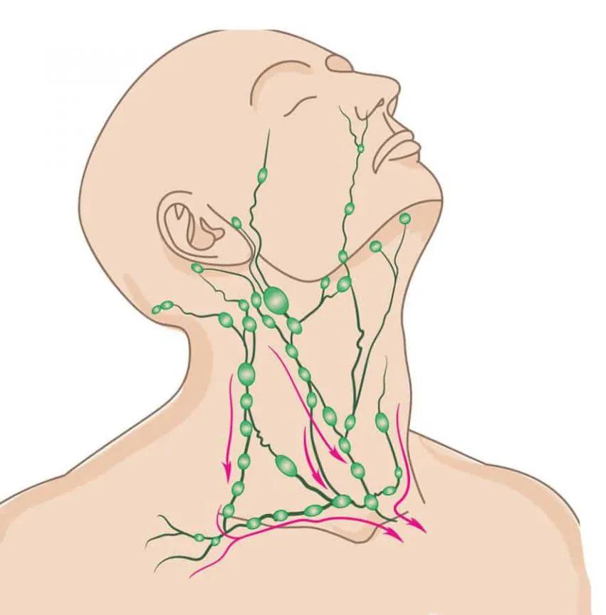 The lymph is swollen, the pain is better than no pain!Dangerous lymph ...