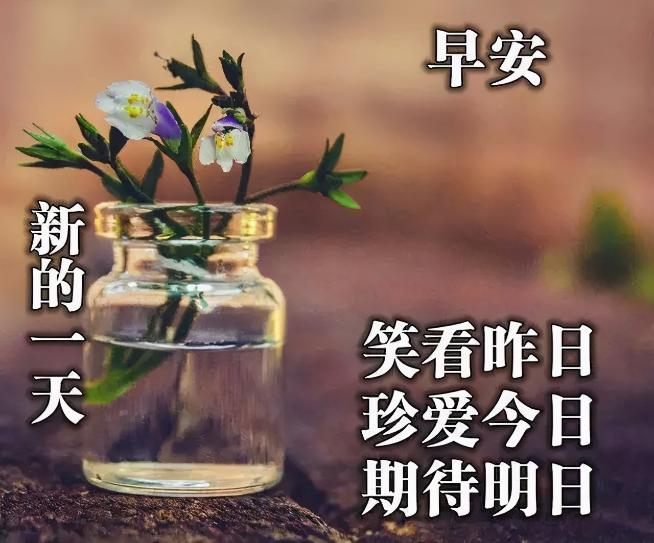 降温了，问候早上好的图片句子